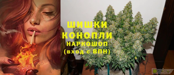 ALPHA PVP Белокуриха