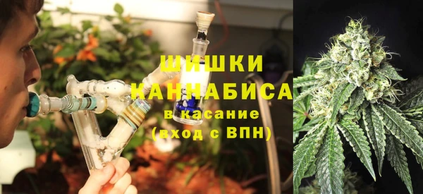 трава Рославль